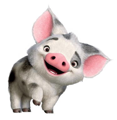 pig